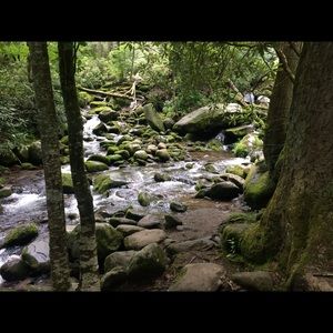 Meet your Posher, Hayley